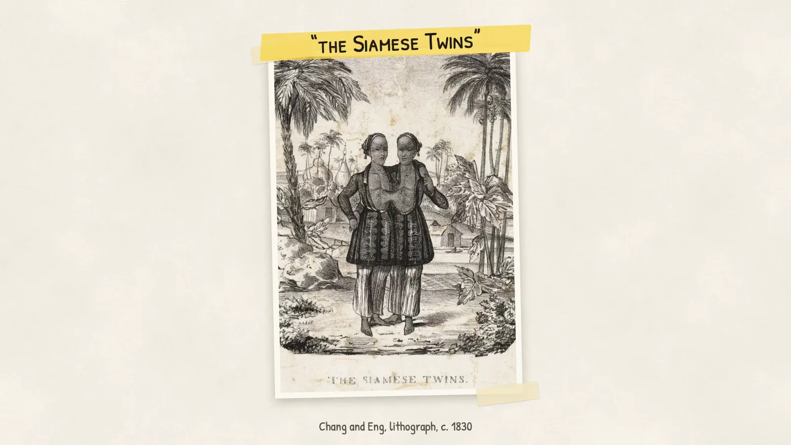 Chang and Eng, lithograph, c. 1830 · Chang and Eng Bunker, born in Siam in 1811 · sailed to Boston in 1829
